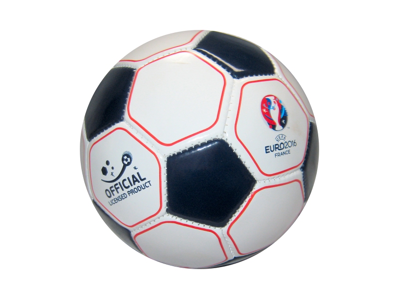 Euro 2016 mini pelota