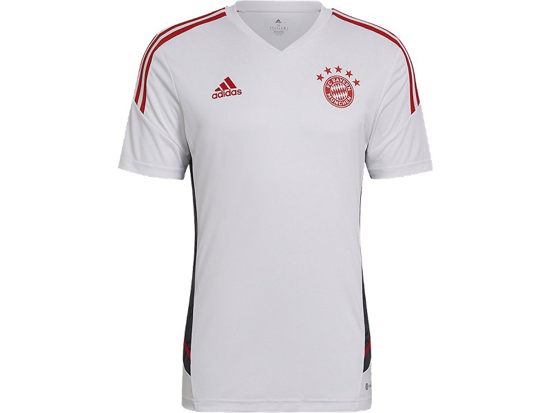 camiseta Bayern 2022