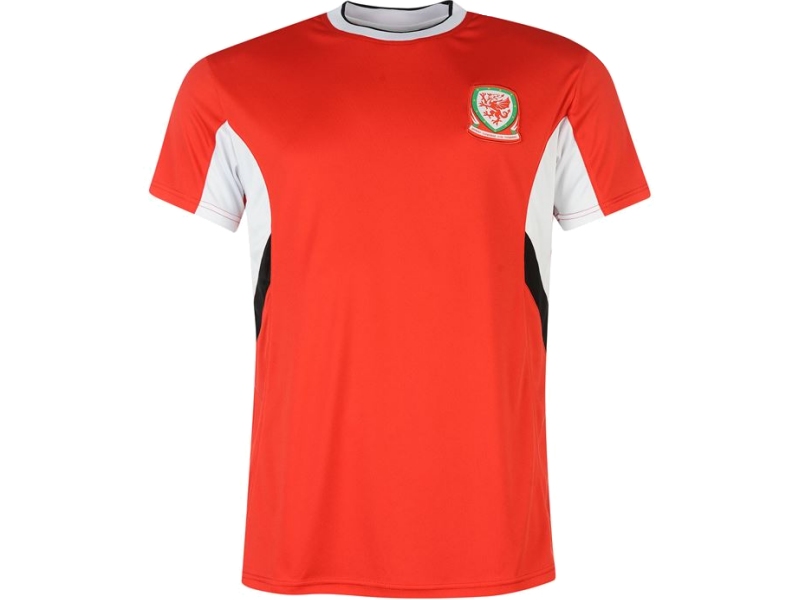 Wales Umbro camiseta